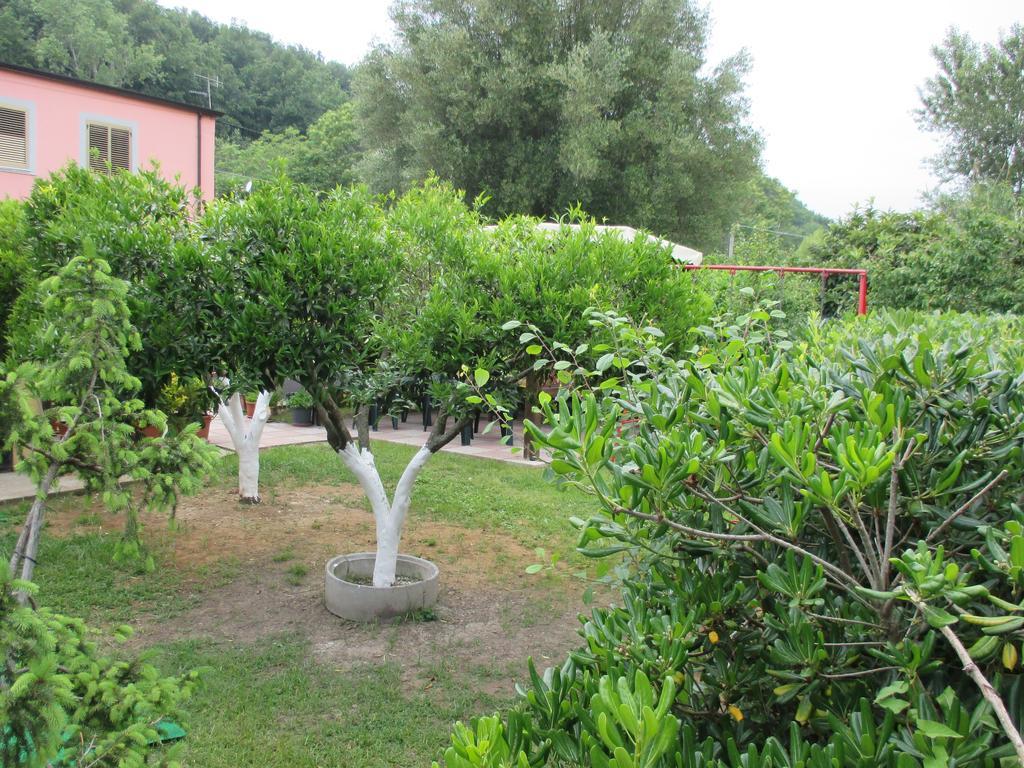 Palinuro Casa Vacanze "Donna Antonia" Exterior foto